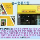 마을기업 솜씨 Daum카페