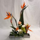 동양꽃꽂이 | 동양 꽃꽂이 수업 후기 | 극락조화(새 화형) 첫 도전기 ㅣ 꽃인데 왜 이렇게 공격적이야…? 하지만 완성...