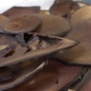 주성한의원 이미지