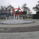 중앙공원 분수대옆 이미지