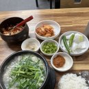 양천코아이비인후과의원 네이버블로그