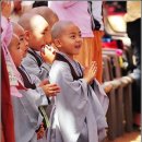 중삼도 Daum카페