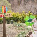 월아산 숲속의 진주(목재문화체험관) 이미지