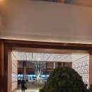 828 | 인천 영종도 인스파이어 리조트 포레스트 디럭스 객실 828호 후기