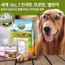 경기한펫 이미지