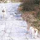 임기 지장암 이미지