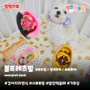 볼프레츠밀(voorpret meal) 이미지