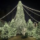 제이닷플레이스 | 서울 종로 제이닷트리 크리스마스 팝업 | 제이닷트리 × 피너츠 SNOWY VILLAGE OKAY TO BE 솔직 후기 🎄