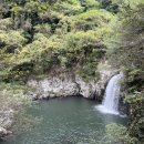 중문삼성연합의원 이미지