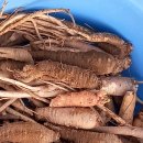 약령시장 이미지