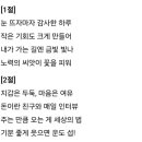 머니테라피 이미지