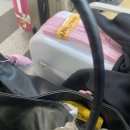 (주)메이스카이 | 콜플콘을 버리고 온 나고야