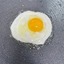 애향유정란