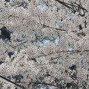 소리천로 이미지