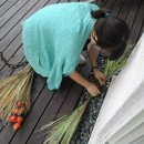 숙지고등학교 이미지