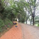 계족산황톳길 이미지