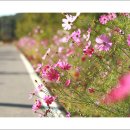 프라임펜션 이미지