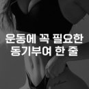 (주)머슬프렌즈