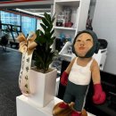 청춘복싱 이미지