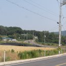 안성시다목적야영장 이미지