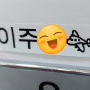 마이PT 이미지