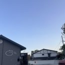 개냥이 | 강릉 고양이펜션 네코스테이 후기｜개냥이 삼색이와 집사체험 가능한 이색숙소