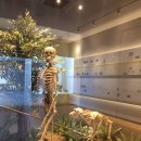 경상대학교박물관 이미지