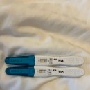 우리가족한의원 | 경주 대추밭백 한의원 4대 할아버지 임신 성공 후기(난임 극복!)