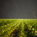 진진공인중개사사무소 이미지