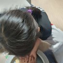 효성백호태권도장 이미지