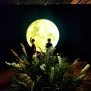 부산문화회관 부설주차장 이미지