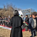 월암태양광발전소 이미지