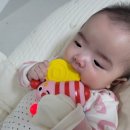 나비야놀자 | 육아는장비빨✿ 국민육아템 나비치발기 - 내돈내산후기 ( 나비야놀자)