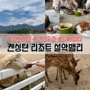 스위스밸리 | 강원도 고성| 스위스 컨셉의 독채 숙소 후기 [켄싱턴 리조트 설악밸리]