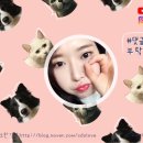와이엠에스무용학원