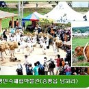 증평2리 이미지