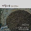 인디언썸머 이미지