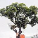 덕문중학교 이미지