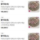 공현진항구횟집