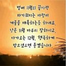 오복 Daum카페