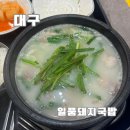 일품돼지국밥 죽전본점 이미지