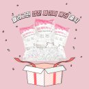 패러그린 이미지