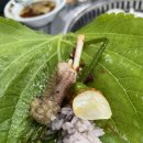 울산 중구 숯불곰장어 맛집 [태원수산산곰장어]
