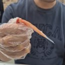 경포대횟집 | 강릉 홍게 무한리필 맛집 추천 [윌횟집] 경포대 횟집 솔직 방문 후기!