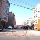 술이홀로(1) 이미지