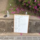 제주중앙여자고등학교 | F45 제주 하이록스 세션 WOD 후기 🏁 400m 러닝 반복 인터벌 트레이닝