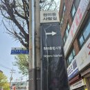 부천시원미구청 | [부천 여행] 원미동 사람들의 거리(원미구청 앞)/원미산 진달래 2026년 4월 15일 개화 상황