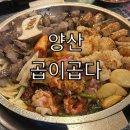 양산 곱창 맛집 곱이곱다 후기