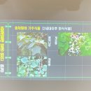 표선면사무소 이미지