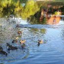 월가힐링 이미지